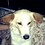 Carl_Cubillas